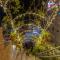 Cat Ba Xanh Spring Garden Hotel