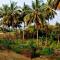 Sugamya Farm Guesthouse
