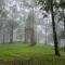 900 Woods Wayanad Eco Resort - A Sprawling Jungle Stay near Glass Bridge