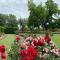 Sunny & Spacious House - Perfectly located for quick access to all of DFW - Farmers Branch