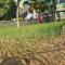 EcoHome