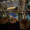 1BR Beach Club Pool View Suite at Azure-Maui - 马尼拉