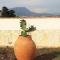 Cammini di Sale - inside the Salt Pans WWF Oasis - 5km far from Trapani