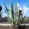 Cammini di Sale - inside the Salt Pans WWF Oasis - 5km far from Trapani