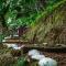 Jungle Cabin w Pool & Nature Trails