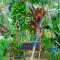 Passi CK Homestay