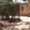 Two stand-alone flats on the cliff with wild animals, Galilee Sea & Mountains View - 萨法德