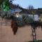 Jennas House