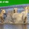 Studio Marie - Proche Théatres et Place des corps saints - WIFI - 阿维尼翁