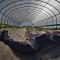 Double bedroom, kitchen, bathroom in organic farm