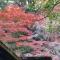 Izuya Ryokan - Vacation STAY 22369v