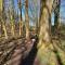 Maxs Woodland Lodge