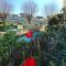 Brixham Holiday Park Gold 2 Bedroom Holiday Home Brixham Holiday Park Gold 2 Bedroom Holiday Home
