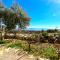 Villa Bepina, surrounded by sea, olive, vineyard