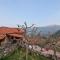 Vella_838