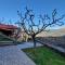 Vella_838