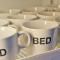 BED Phrasingh-Adults Only