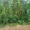 Vive Utila - Bed & Breakfast