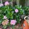 Jens Garden Pods