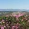 Green House near Civita di Bagnoregio - amazing panoramic view - Free Wi-fi