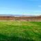 Sequoia View Vineyard