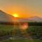 Sequoia View Vineyard - Sanger