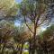 Camping Village Il Sole