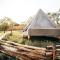 Glamping la lodola