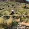 Bushman Valley