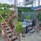 House Monstera Arenal