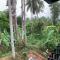 Nirvana Home stay TVM -allure