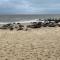 95 Sundowner, Hemsby, Norfolk
