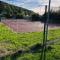 Chalet Charmant Monika avec Piscine