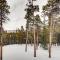 Serene Mountain Cabin Nestled Amongst the Pines - Alpenhaus