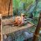 Eco Bamboo Island Bali - Bamboo House #3 - Selat