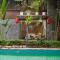 King Kong Homestay