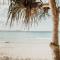 Belmore Palms ~ 2 Min to Surfie, Village & Beach