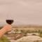 Yarra Valley Grand