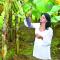 The Woods Resorts Wayanad - Sultan Bathery