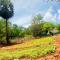 Lotus Garden Guest House