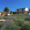Luxury villa in Provence with a private pool - Martres-Tolosane