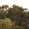 House with forest views - Creswick