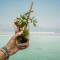 Vert Dead Sea by AFI Hotels