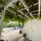 Downtown Nassau Oasis Unit 2