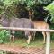 Tranquil bush cabin in Sodwana Bay Lodge Resort - سودوانا باي