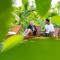 New Sunshine Homestay