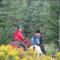 Meadowlark Cabin #5