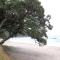 Foto: Waihi Beach Lodge 11/52