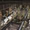 AlRayyan Hotel Doha, Curio Collection by Hilton