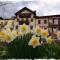 2 bedrooms appartement with terrace and wifi at Belluno